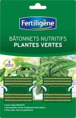 Bâtonnets pour plantes vertes Fertiligène (x 40)