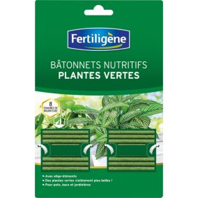 Bâtonnets pour plantes vertes Fertiligène (x 40)