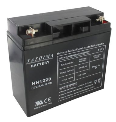 Batterie 12V 18Ah WSB AGM - Pour Tondeuse Autoportée - Sans Entretien - Dimensions 181x76x167mm