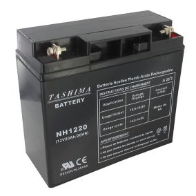 Batterie NH1220 12V 20A pour tondeuse autoportée