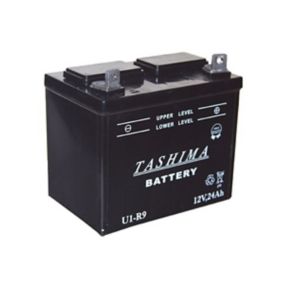 Batterie U1R9 12V 24A pour tondeuse autoportée