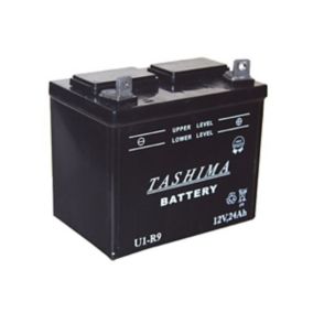 Batterie U1R9 12v - 24A