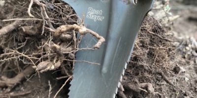 Bêche en acier carbone manche composite multifonction Root Slayer