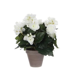 Begonia blanc artificiel ø25 x h.30 cm en pot Stan gris ø11,5 cm