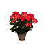 Begonia rose foncé artificiel ø25 x h.30 cm en pot Stan gris ø11,5 cm