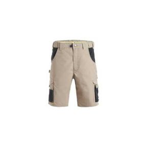 BERMUDA DE TRAVAIL HUGUES beige/ noir taille 36