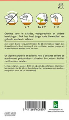 Betterave Rouge Plate D'Égypte - Ca. 5 gr