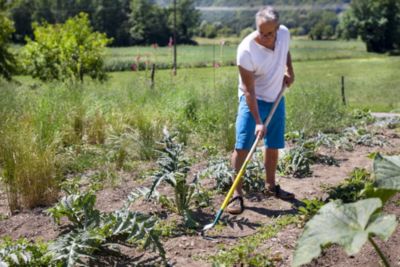 Binette Lame V Naturovert Leborgne - Manche Bois 150cm Ergonomique Pour Désherbage Potager