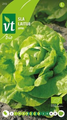 bio Laitue Appia - Ca. 1 gr Graines potagères