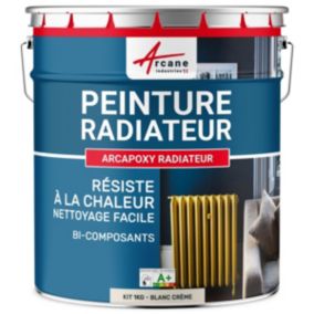 Blanc Crème - RAL 9001 - 1 kg (jusqu'à 5 m² en 2 couches) - ARCANE INDUSTRIES