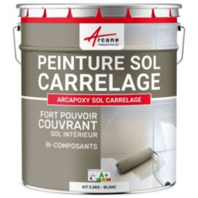 Blanc - RAL 9003 - 2.5 kg (jusqu'à 12.5 m² en 2 couches) - ARCANE INDUSTRIES