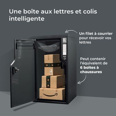 Boîte aux lettres et colis 2-en-1 connectée Boks One + Porte arrière pour encastrement
