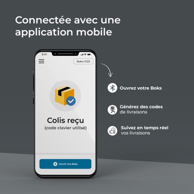 Boîte aux lettres et colis 2-en-1 connectée Boks One + Porte arrière pour encastrement