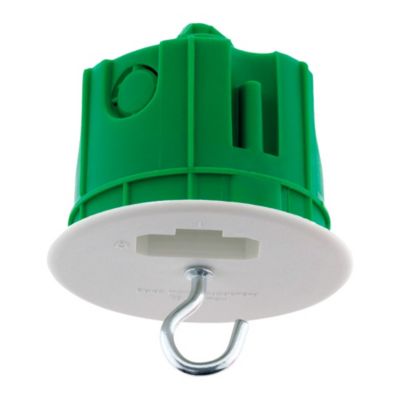 Boîte DCL point de centre murs pleins diamètre 65mm Vert - Blm