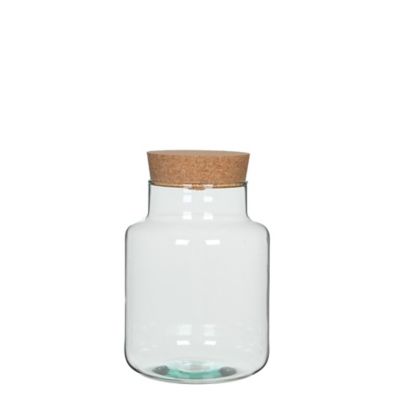 Bocal en Verre Chela 19x26 cm Transparent