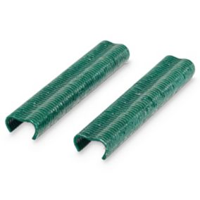 Boîte 1000 agrafes Blooma vertes 20 mm