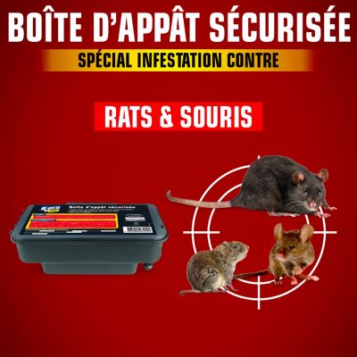Ready Steady Defend 2 X Résistance à L'effraction Boite Appat Rat | Boite Appat Souris | Sûr Pour Les Animaux Et Efficace à L'intérieur Comme à L' Extérieur