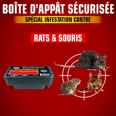 Boîte à appât rats et souris sécurité domestique