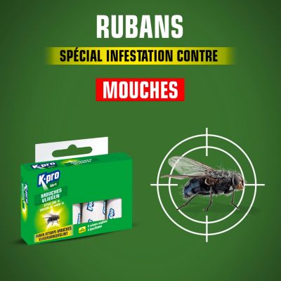 Boîte de 4 rubans attrape-mouches Kapo vert