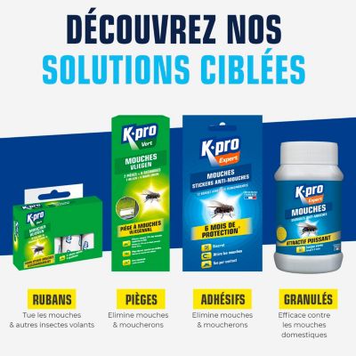 Boîte de 4 rubans attrape-mouches Kapo vert