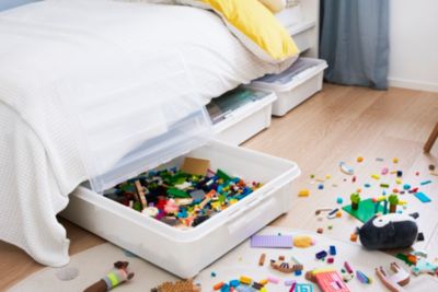 Boîte De Rangement Sous Lit à Roulettes 60 Litres | Leroy Merlin