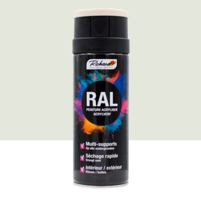 bombe de peinture professionnelle ral multi-supports richard 9002 blanc gris