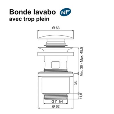 Bonde de lavabo ø 63 mm Rousseau avec clapet clic clac ou fixe effet or