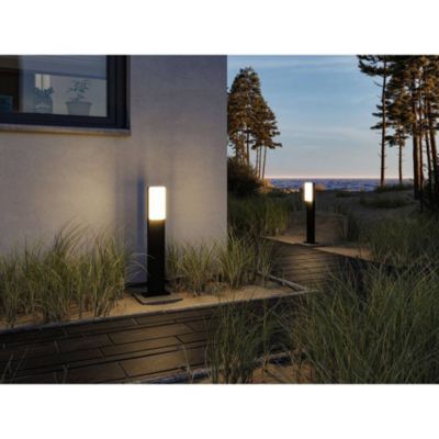 Borne lumineuse extérieure LED gris anthracite 8,5 W IP44 Paulmann Bonnie