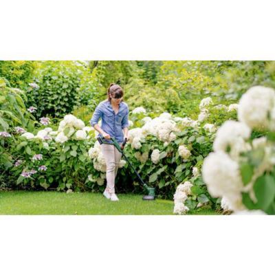 Bosch Home and Garden EasyGrassCut 18V-260 coupe-bordures sans fil 18 V, 2 Ah, largeur de coupe 26 cm