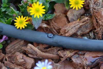 Bouchon cannelé vendu par 10 6 mm pour tuyau goutte à goutte + 1 poinçon