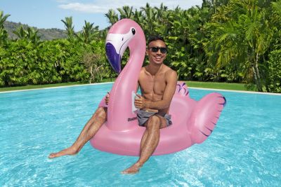 Bouée flamant rose Bestway L.1,53 x l.1,43 m