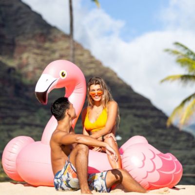 Bouée gonflable Intex type flamant rose géant 2m