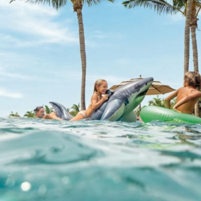 Bouée gonflable Intex type requin à partir de 3 ans