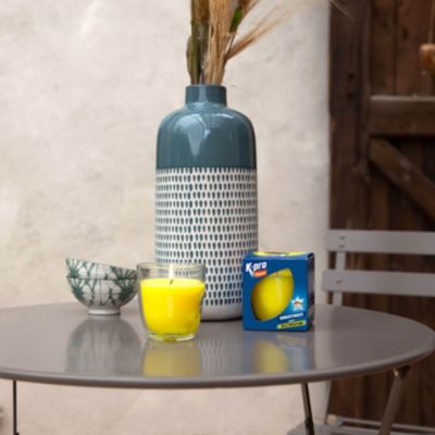 Bougie antimoustique insecticide intérieur extérieur parfum — free download