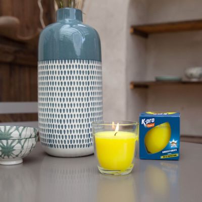Bougie anti-moustique insecticide intérieur extérieur parfum citronnelle Kapo Expert 30h de protection