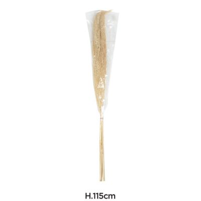 Bouquet de 3 pampas séchées H.45cm JBY Creation