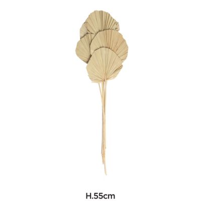 Bouquet de 5 palmettes H.40cm JBY Creation