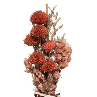 Bouquet de fleurs séchées "Wonder" H28cm - Atmosphera Créateur d'intérieur