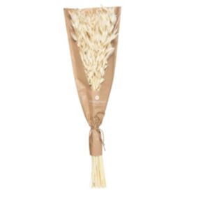 Bouquet fleurs séchées H45 cm - Blanc- Atmosphera