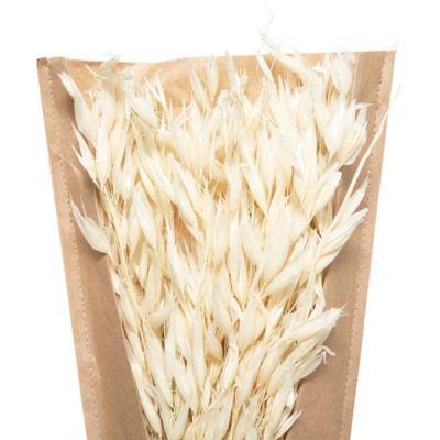 Bouquet fleurs séchées H45cm - Atmosphera Créateur d'intérieur