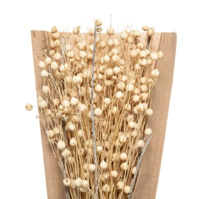 Bouquet fleurs séchées H45cm - Atmosphera Créateur d'intérieur