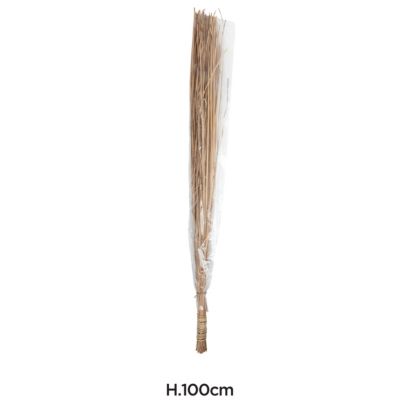 Bouquet tiges de raphia bambou sechées H.100cm JBY creation
