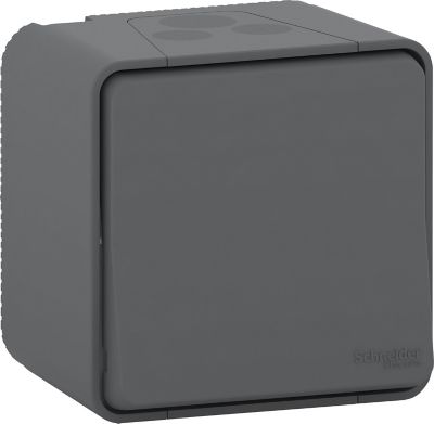 Bouton poussoir saillie Mureva Styl SCHNEIDER ELECTRIC
