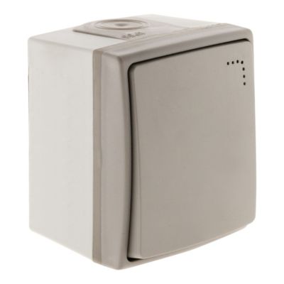 Bouton Poussoir Avec Voyant Gris Clair - IP54 étanche - 10A 250V - Pour Sonnette, Minuterie - Certifié NF/CE