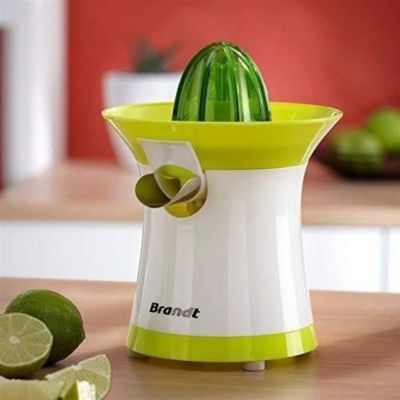 BRANDT Presse-agrume 40 Watts, système anti-goutte, 2 cônes PAI-40V vert et blanc