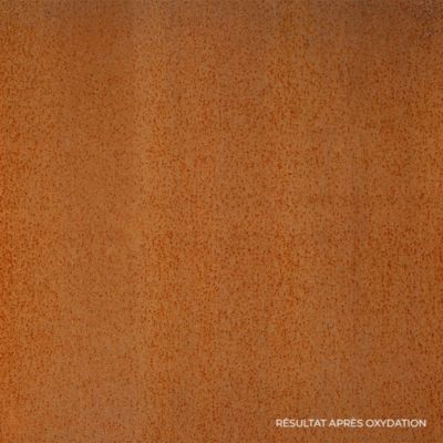 Brasero extérieur 80 cm - Acier Corten - Chauffage Exterieur - Feu de Bois - Effet Rouille - H : 21.5 cm - Resistant au gel