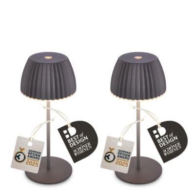 Briloner RIFFLE MINI Lot de 2 lampes LED de table sans fil variateur German Design Award 2025 anthracite D.85 x 20 cm