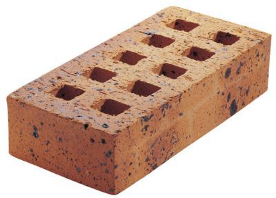 Brique Perforee Leopard 5 4 X 10 5 X 22 Cm Castorama