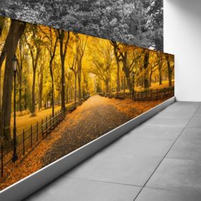 Brise vue Trompe l'oeil - 100x300 cm - Automne à Central Park 3617689697222