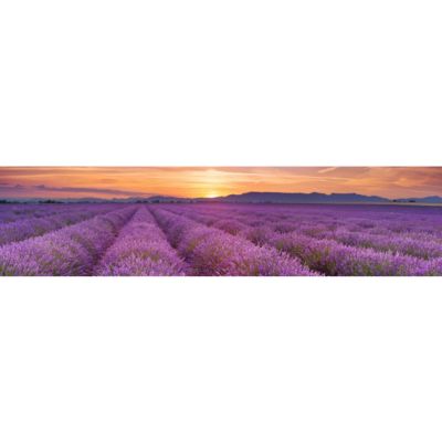 Brise vue Trompe l'oeil - 80x320 cm - Champ de lavande 3617689698274